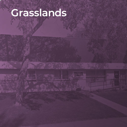 Grasslands